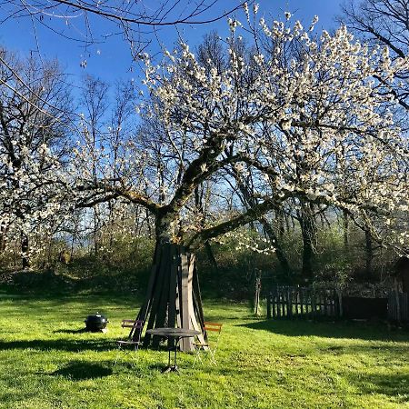 Le Pipapo Lägenhet Saint-Martin-de-Bavel Exteriör bild