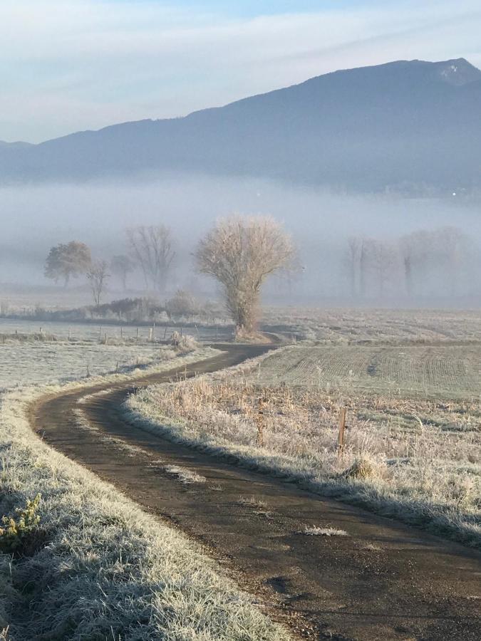 Le Pipapo Lägenhet Saint-Martin-de-Bavel Exteriör bild